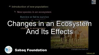 Changes in an Ecosystem And Its Effects
