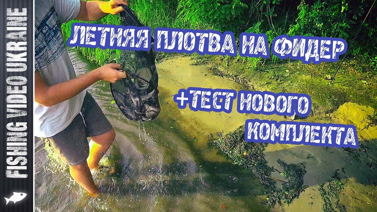 Такого мы не ожидали! - нашествие плотвы