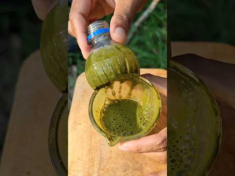 DIY แปรงชงชาเขียวมัทฉะจากขวดพลาสติก
