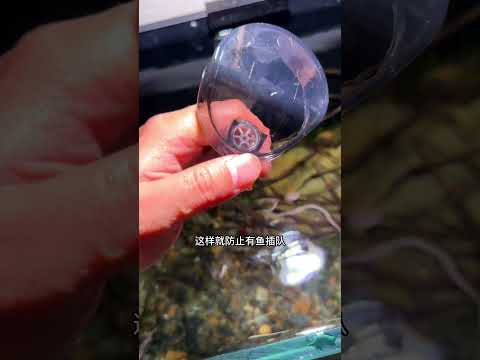 鱼缸投食管，让小鱼定点吃饭鱼粮不再满缸乱飞~这次产品改进有点多啊！