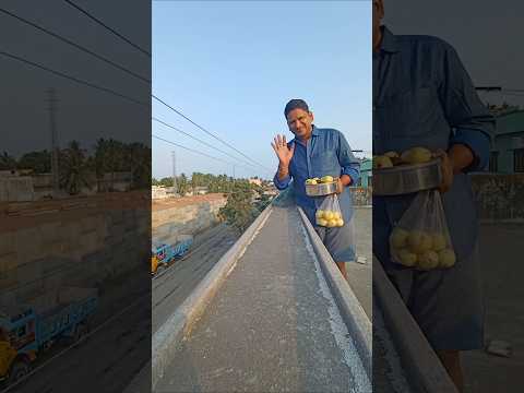 Crazy parrot's guava eating shorts #birds #nature #talkingparrot #kuku_tv_hindi #birdlovers