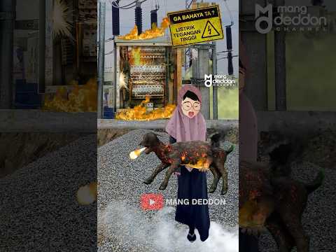 Kambing Kurban Modyarrr #lucu #drama #lebaran