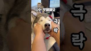 나는 무해해요 (feat.눈마사지)