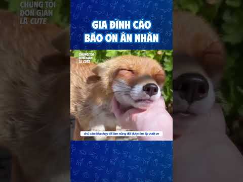 Gia đình cáo báo ơn ân nhân #dongvat