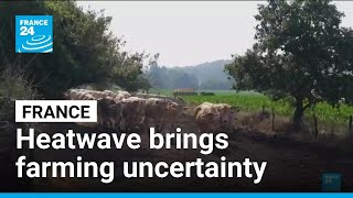 YouTube video thumbnail: Climate-Change Driven Heatwave Brings Uncertainty to French Farmers