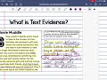 Citing Text Evidence in the RACE Strategy