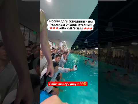 АЛГА КЫРЫЗЫМ🇰🇬💪❤️ #рек #тикток #арабскиелошади #моялошадь #rek #лошадки #тренд #лошадки