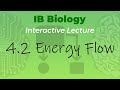 Energy Flow and Ecosystem Dynamics