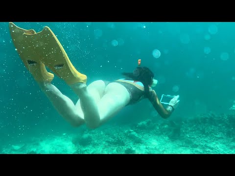 ПОДВОДНЫЙ МИР НОВОЙ ГВИНЕИ / Плывём на острова с кошкой