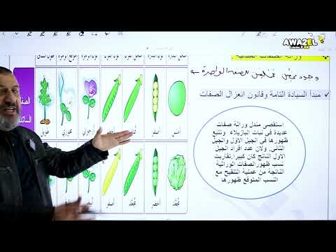 الوراثة المندلية ( قانون انعزال االصفات ) _ الأستاذ اياد الفراية الجزء الأول