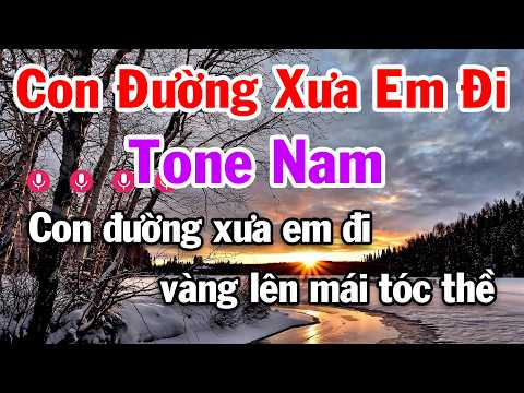 Con Đường Xưa Em Đi Karaoke Tone Nam Nhạc Trữ Tình Dễ Ca