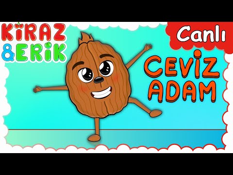 CEVİZ ADAM ŞİP ŞAP ŞOP İLE EN SEVİLEN ÇOCUK ŞARKILARI | Okul Öncesi | Çizgi Film 🔴 Canlı Yayın