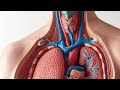 History of Medical Science