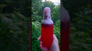 Making wild blackberry pop