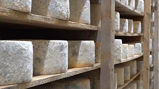 YouTube video thumbnail: Hard Cheese: Tough Times for Greece's Naxos Graviera Cheese as Production Falters