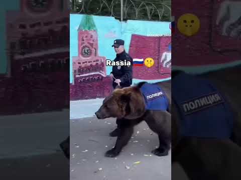 Police assistant ๐#russia #america #police #assistant #memes #shorts