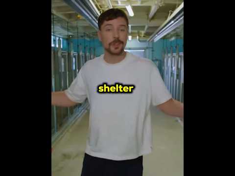 Mrbeast saves 100 dogs valuable lives 🥹❤️🩹 #mrbeast #vyropartner
