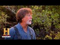Wooden Stakes and Oak Island Findings