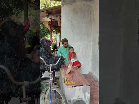 B0c1l hampir jatuh gara gara grandong
