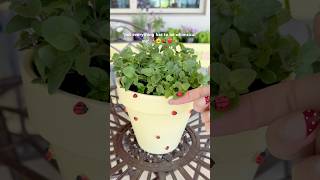 Ladybug Plant Pot 🐞✨ #crafts #shorts