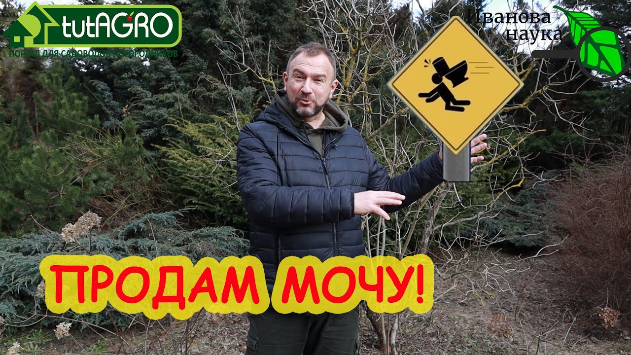 Сколько стоит ваша моча? Как из мочи извлечь прибыль и сэкономить деньги? Очень просто!