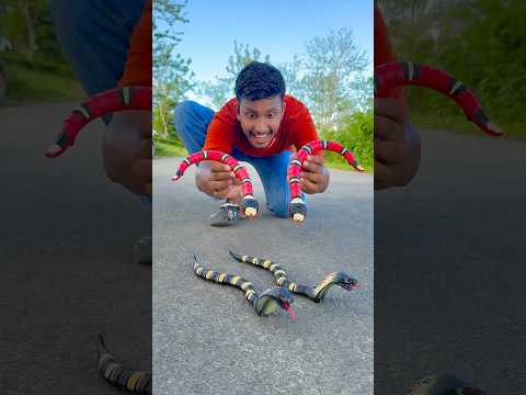 Red Remote control snake va cobra