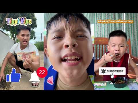 Tổng hợp các video hay nhất của Team Tippi phần 15 | Tippi Vips #tippitv