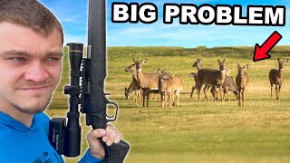 Hunting Down Overpopulated Whitetail Deer!