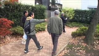 22014 12 6 千川上水緑道の植栽