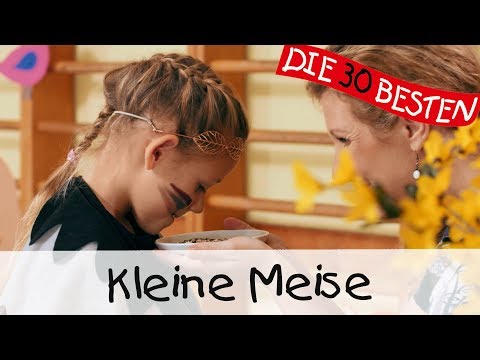 👩🏼 Kleine Meise - Singen, Tanzen und Bewegen || Kinderlieder