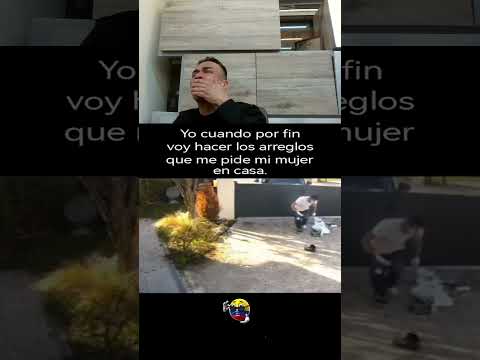 🤣 Intenta no reírte: vidrio rebelde, pintura vengativa y portería con Wi-Fi propio 🎯😂 parece un meme