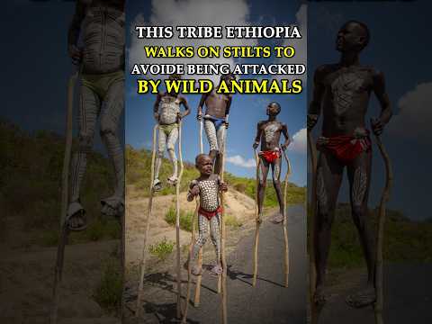 The people of the banna tribe in Ethiopia who walks on stilts. #shorts #viral