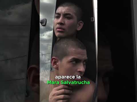 Las 5 Agrupaciones Criminales Mas Peligrosas de Latinoamérica