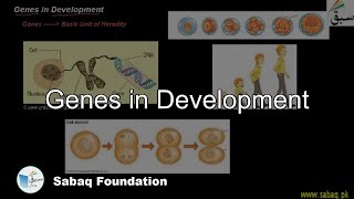 Genes in Development