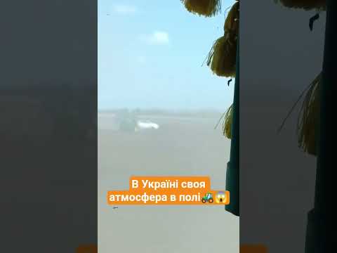 Більше відео в шапці профілю ❗ #агро #трактор #фермер #тракторист