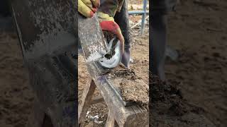 The master repaired the donkey's hooves quickly and well.