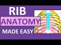 Rib Anatomy and Classification