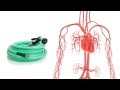 Blood Flow Resistance Concepts