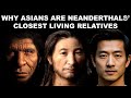Neanderthal DNA and Human Ancestry