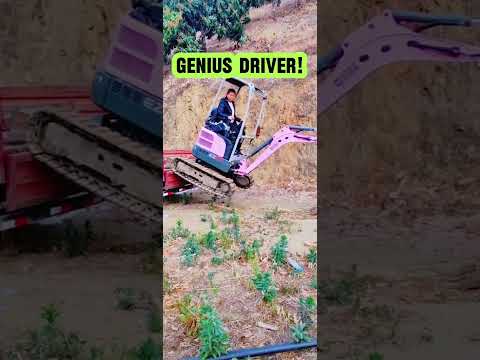 Clever Girl! Genius Driver Shocks Everyone!