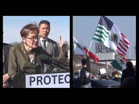 Democrat Accidentally Comes Out in SUPPORT of Mass Deportations