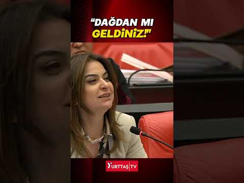 Mecliste 'Dağdan mı geldiniz' tartışması!