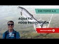 Aquaculture and Sustainable Fishing Practices