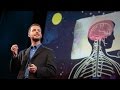 Understanding Sleep and Brain Function