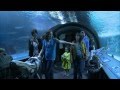 Newport Aquarium Exhibits and Experiences