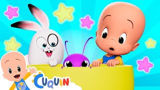 Insectos de colores 🦋✨ | Dibujos animados educativos de Cuquín y Cleo