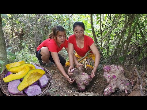 In Forest, Cooking Sweet potatoes dessert  and Yummy Yummy @foodmyvillage