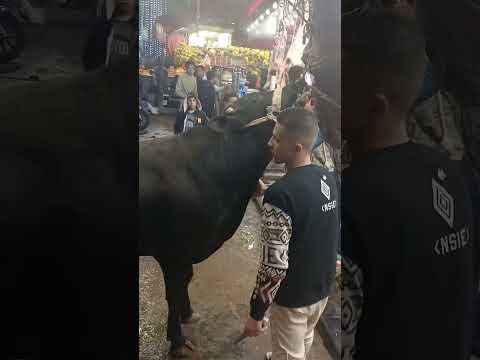 اذكر الله انتاج أعلاف مؤسسه خموسه محيمر رقم التواصل2554696 0100