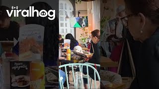 Polite Dog Eating at the Table || ViralHog