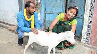 पड़ोसन के बकरी चुरा कर खा गई पगली देखिए फिर क्या हुआ | Bhojpuri comedy